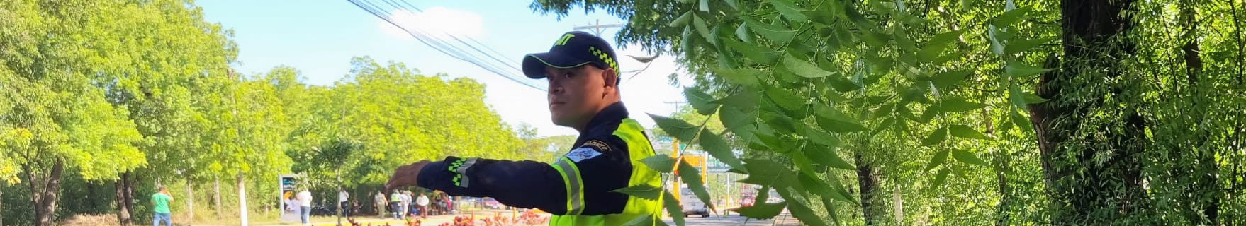 Pago de Multas